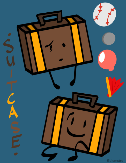 suitcase !!