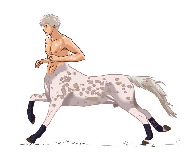 Appaloosa Centaur
