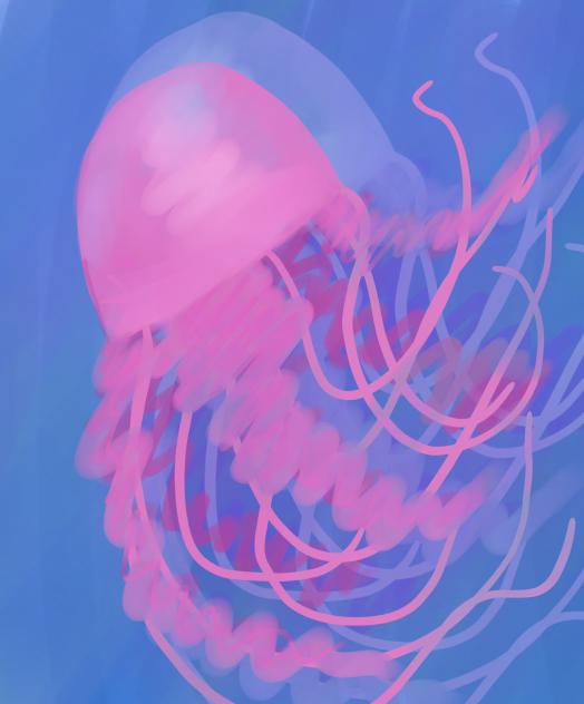 More jellyfish