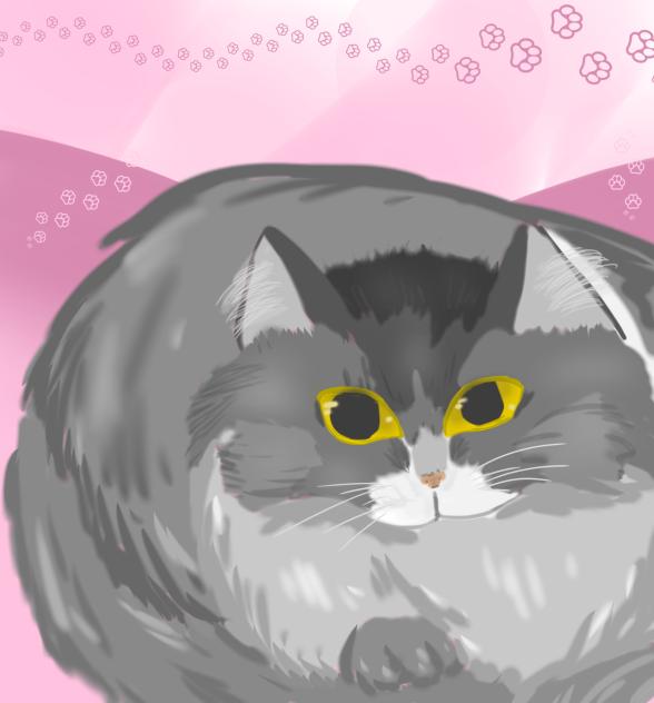 My first realism😽