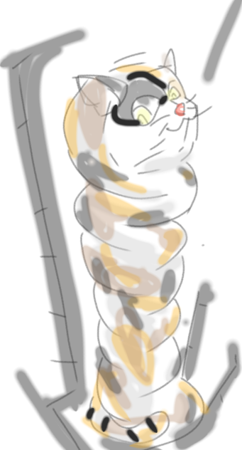 シャフト猫