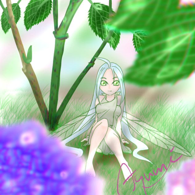 梅雨の晴れ間に