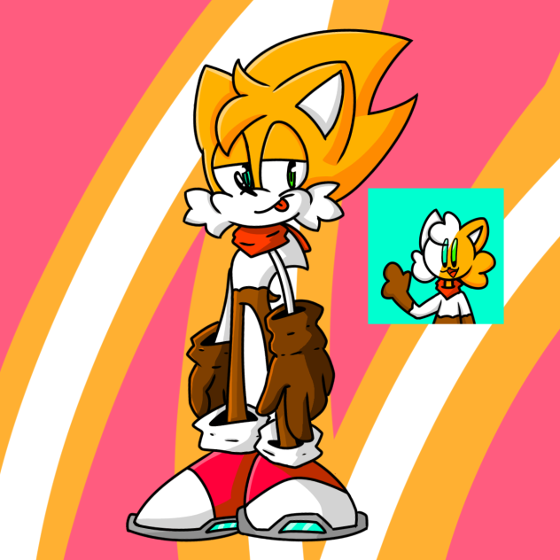 fui sonicficado