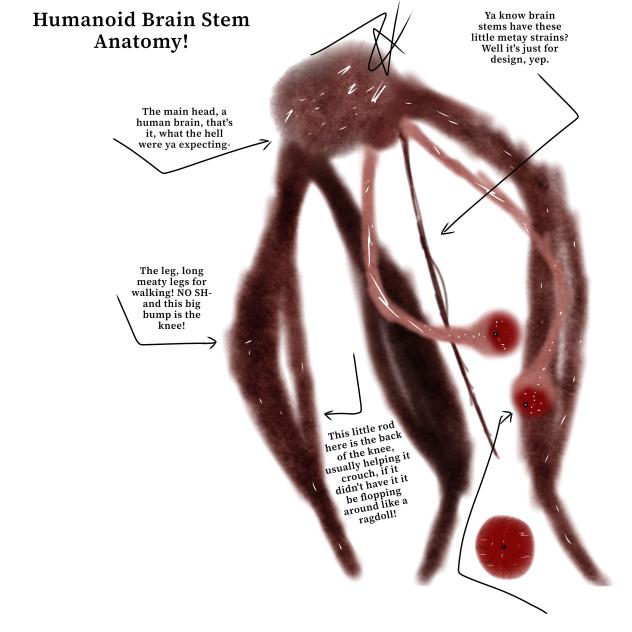 ANOTHER ANATOMY, BRUH!