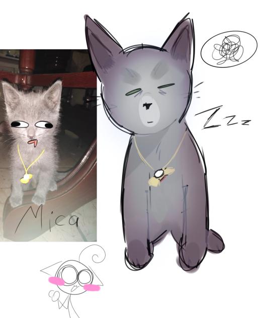 my cat 🥳🐱