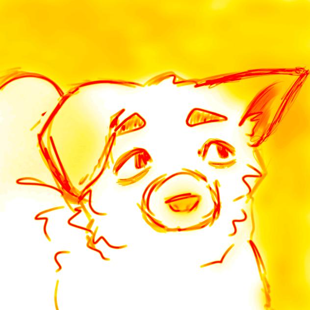 🔥🐶