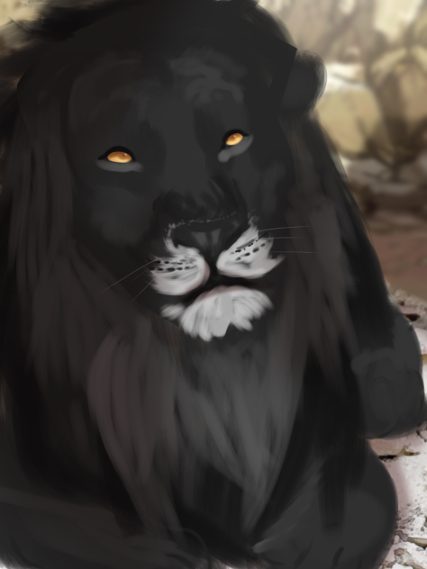Black Lion Realism Art