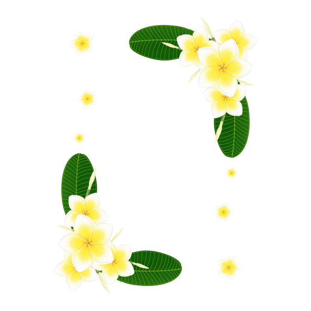 White Plumeria Frame