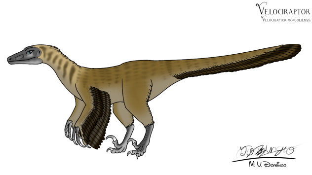 Velociraptor mongoliensis