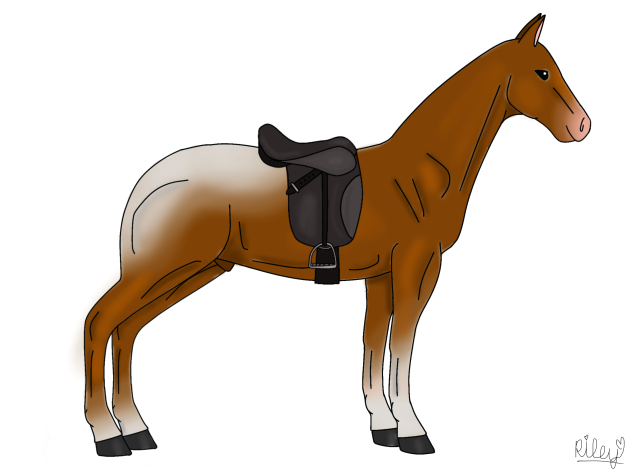 dark gray saddle