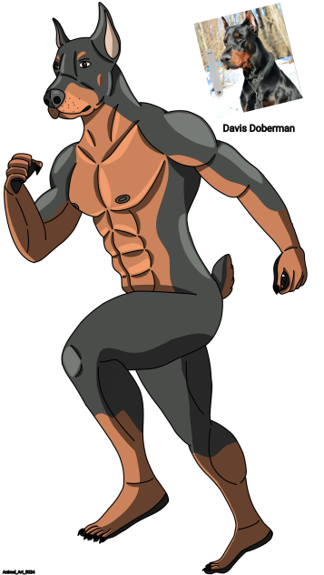 Furry realist Doberman