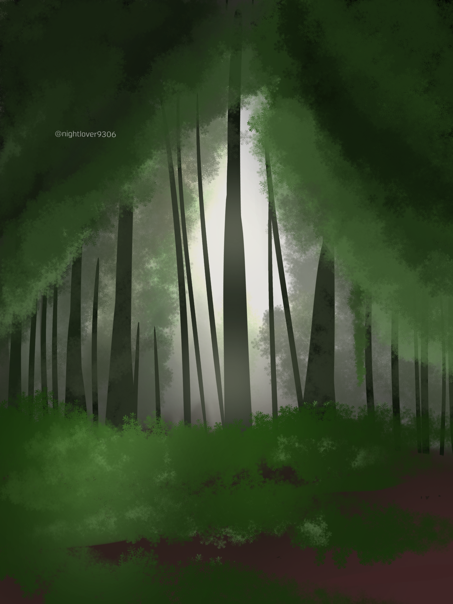 Forest - ibisPaint