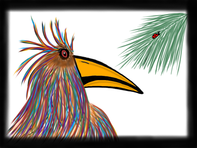 Bird