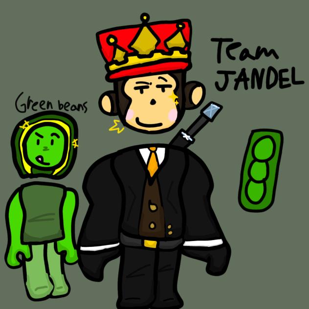Jandel team
