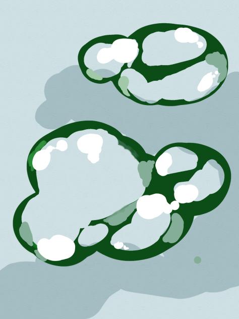 水