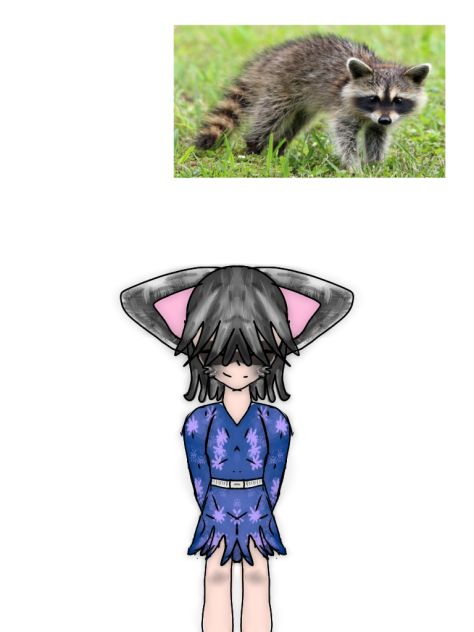 🦝