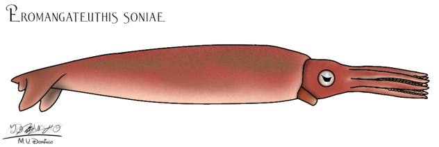 Eromangateuthis soniae