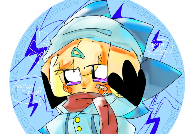 飛行機で描いた