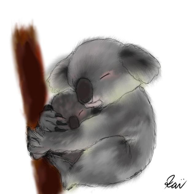 コアラ