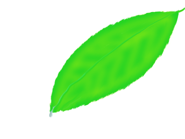 Unfinished Leaf