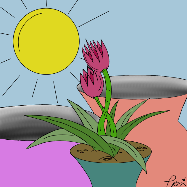 Potted Plant