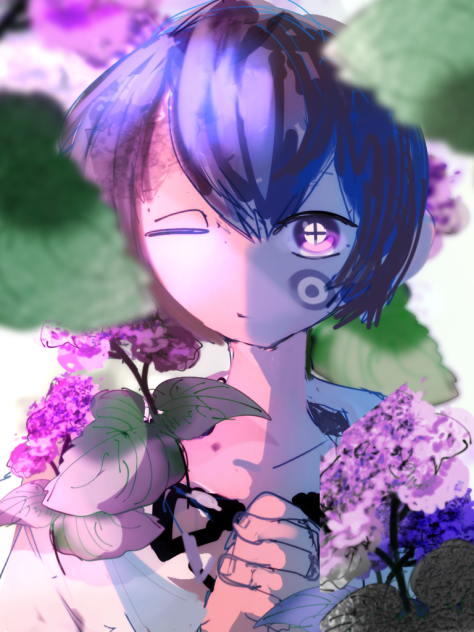 hydrangea