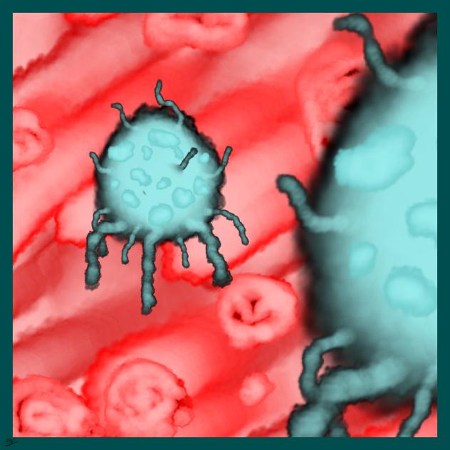 556 Virus