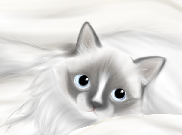 ねこ
