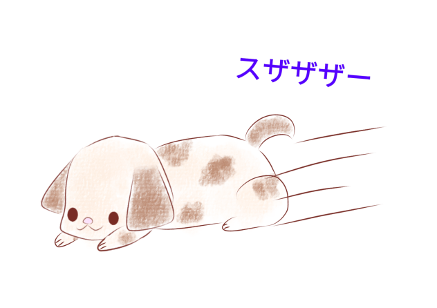 スライディングわんこ