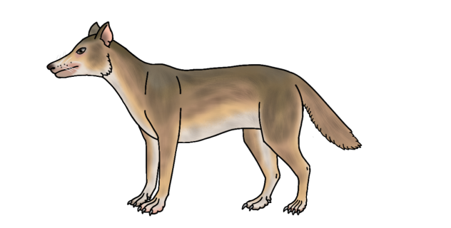 Savanna Nyemanguelio render