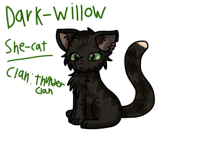 Warrior Cats. DarkWillow.