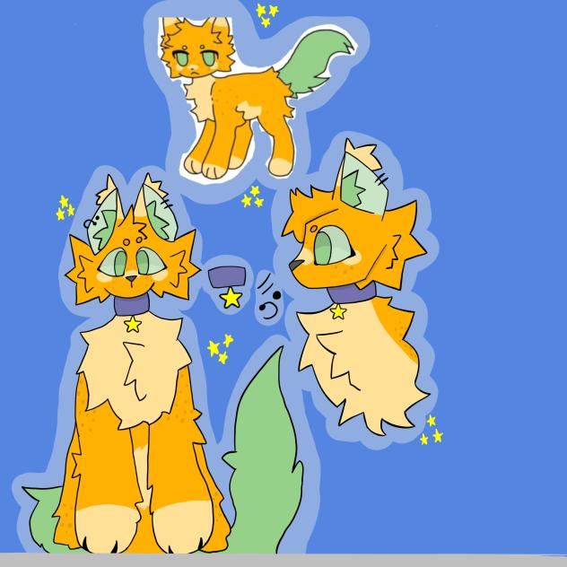 -⭐️🧡-