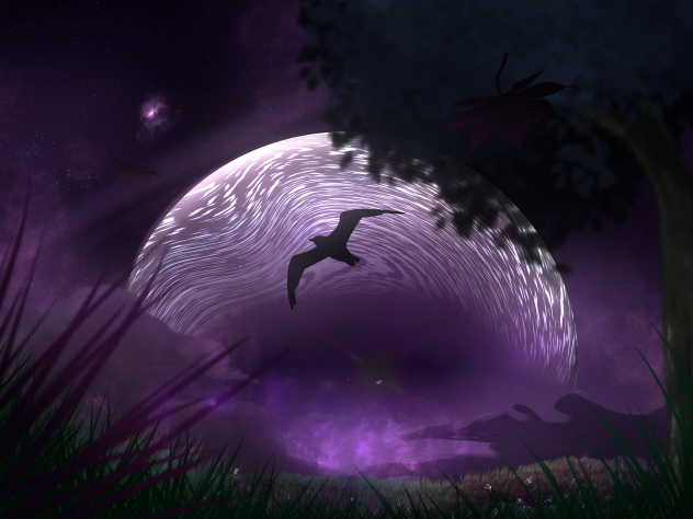 The night landscape