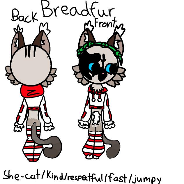 My warrior cat oc!!