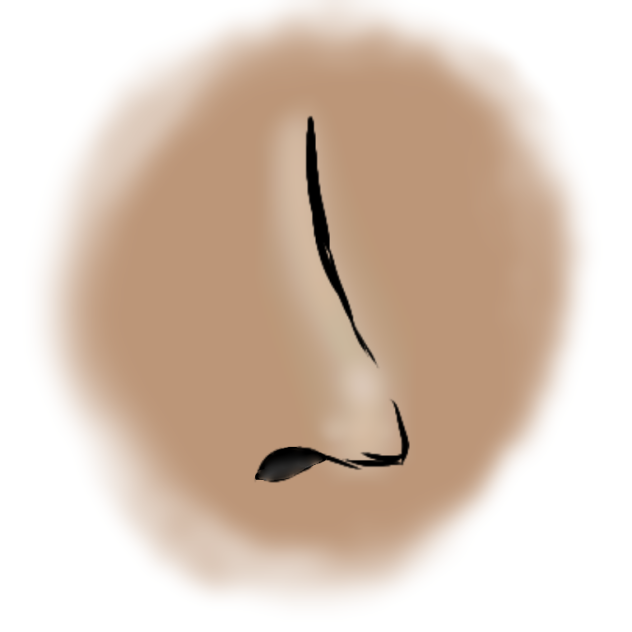 how to draw a nose ibisPaint