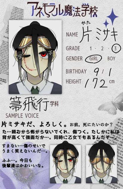 片ミサキ