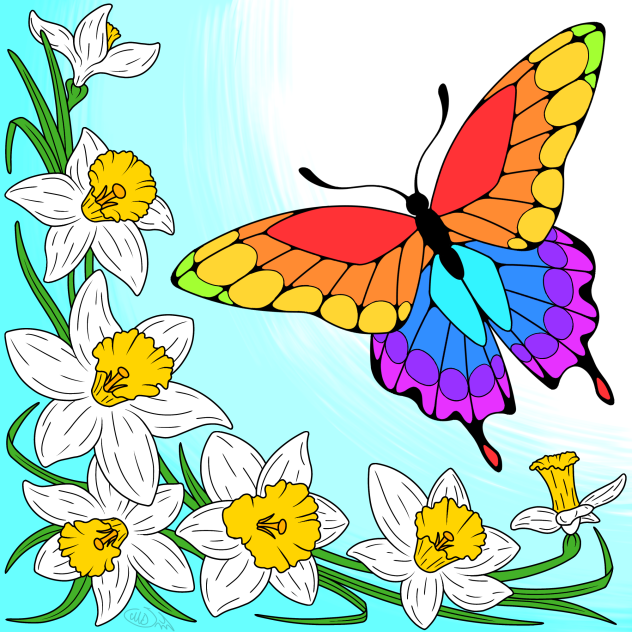 Rainbow butterfly