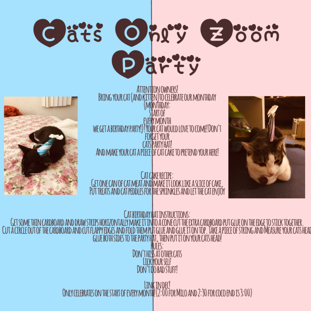 Cats Only Zoom Party invitation
