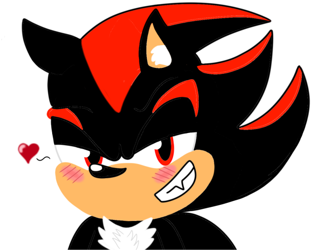 Shadow The Handsome Hedgehog