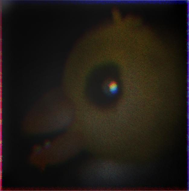 chica