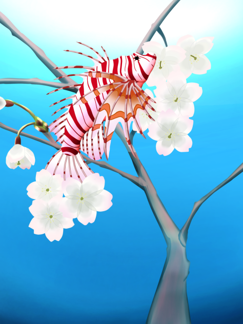 ミノカサゴ