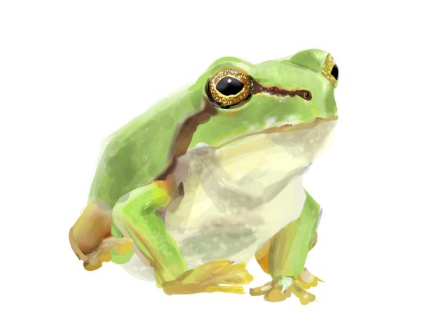 かえる