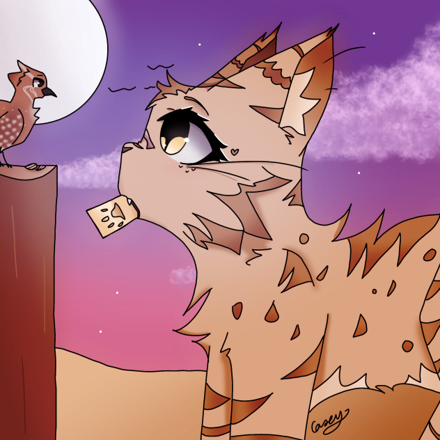 Sand cat