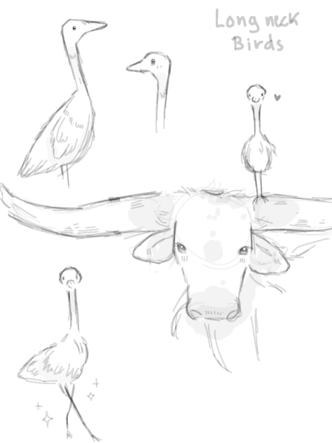 doodles