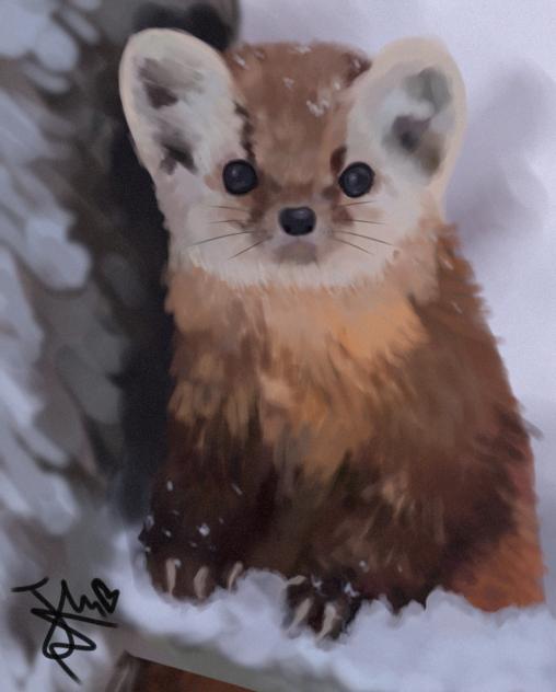 Cutie portrait ^^