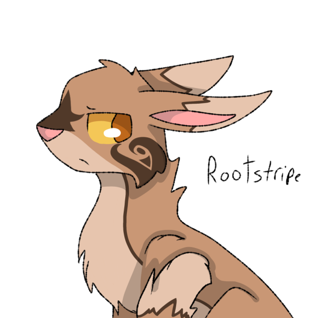 Rootstripe