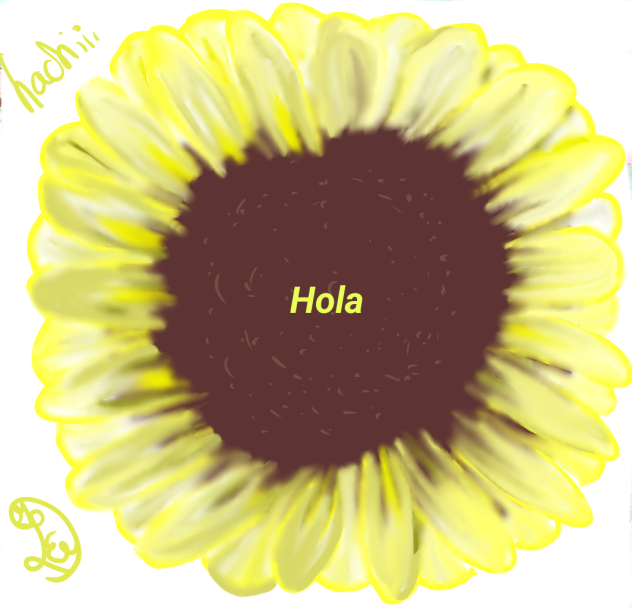 burbuja  girasol