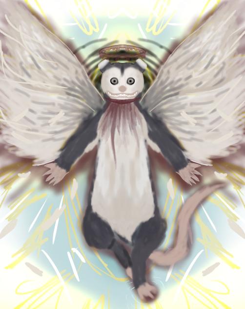 OPOSSUM THE HOLY