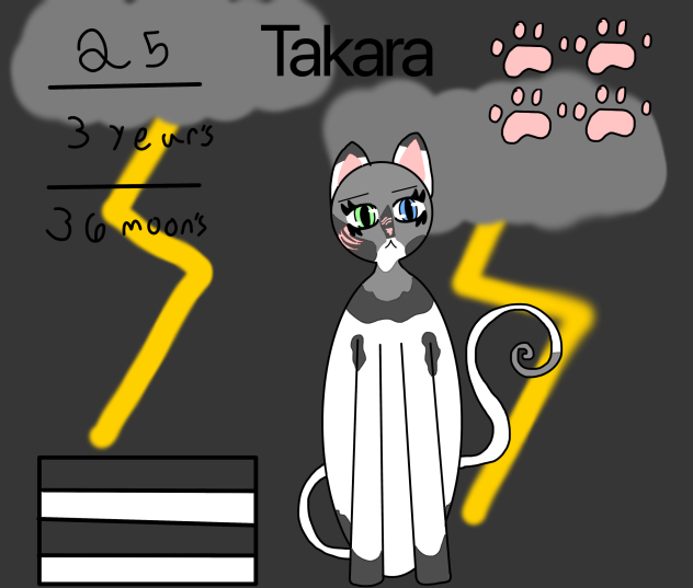 Takara concept