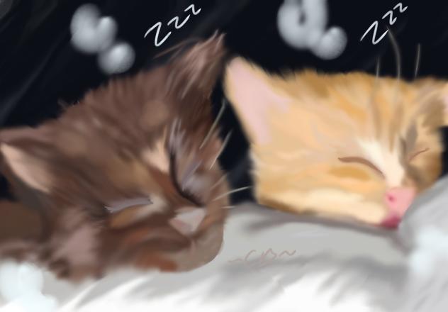 Kitties